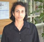 ar说：“正在这个过程中